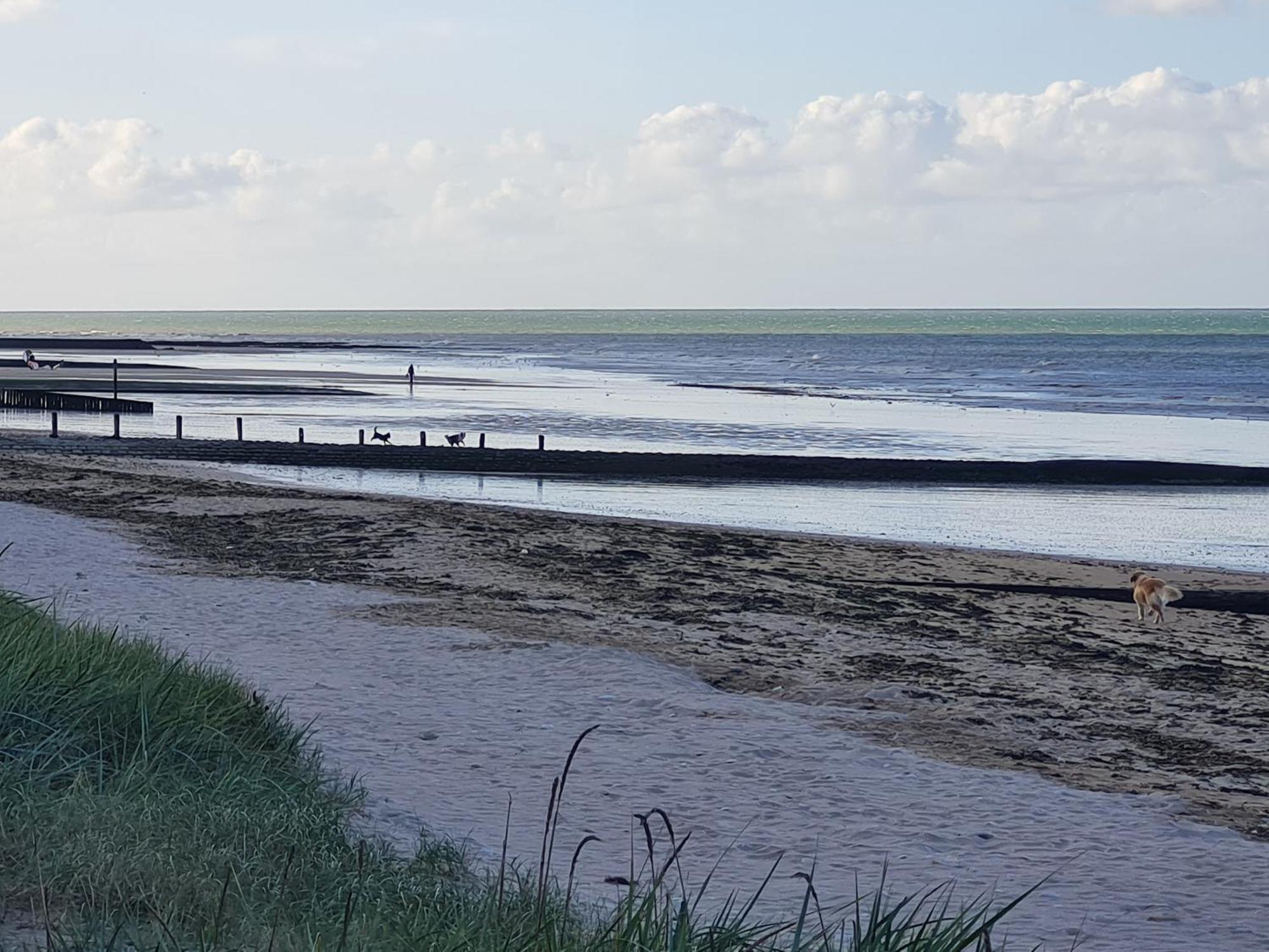 Les Pieds Dans L'Eau - Acces Direct A La Plage Bernières-sur-Mer Zewnętrze zdjęcie